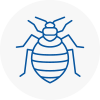 Bed Bug Extermination In Shepshed
