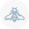 Bee Nest Removal Shepshed
