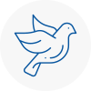 Bird Prevention Shepshed