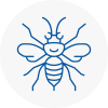 Shepshed Hornet Nest Removals