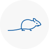 Mice Exterminators In Shepshed