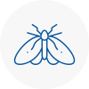 Moth Control Specialists In Shepshed