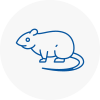 Rat Control Shepshed